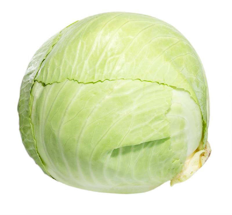 Cabbage - White (Large)
