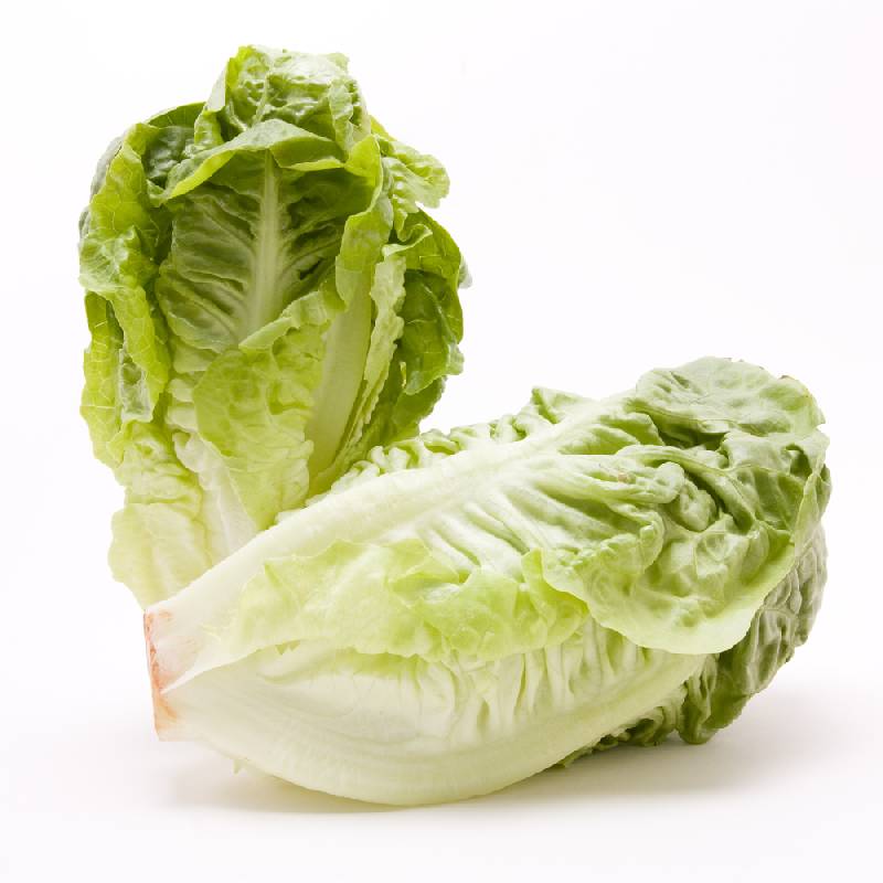Lettuce - Little Gem