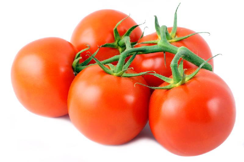 Tomatoes - Vine
